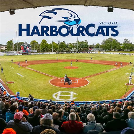 Pair (2 seats) of Premium Reserved Seating Victroia Harbourcats Season Tickets on VictoriaBids